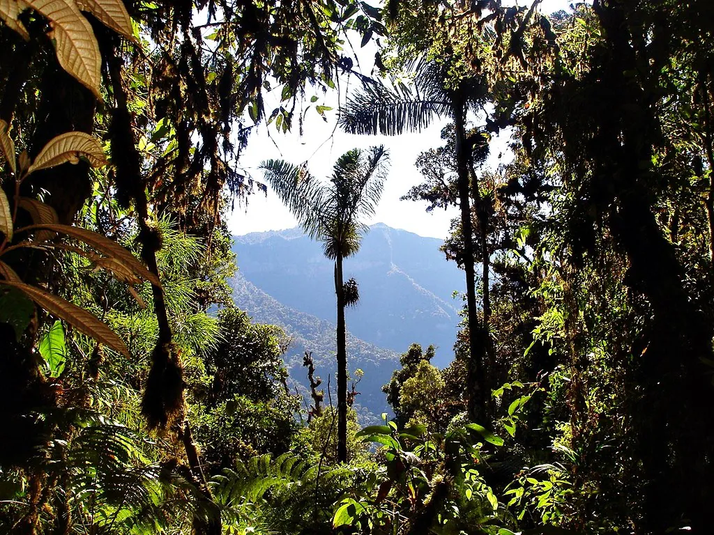 Parque Nacional de Otishi, Cordillera Vilcabamba entre Junín y Cusco, Perú